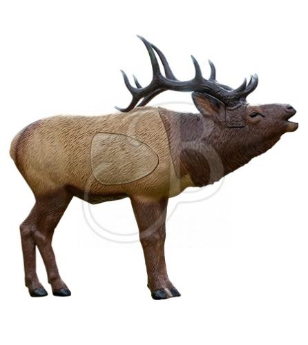 RINEHART - Cible 3D Elk 1/3