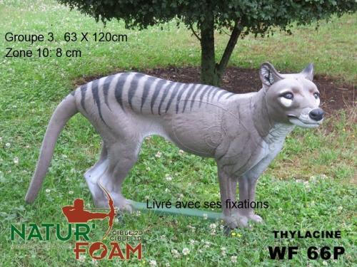 NATUR'FOAM - Cible 3D Thylacine (tigre de Tasmanie)
