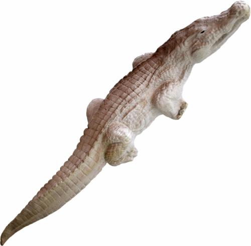 Cible 3D Crocodile
