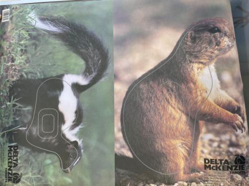 Cible nature double  Marmotte / putois