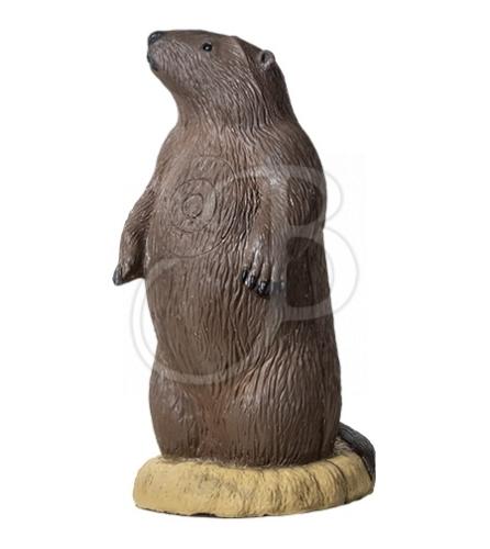 Rinehart Cible 3D Marmotte