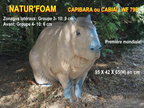 Natur Foam Cible 3D Capybara